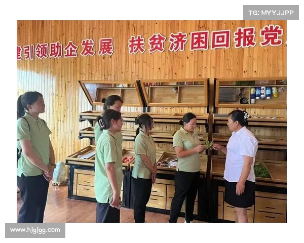 高原社工服务站创新模式与实践经验分享助力乡村振兴与社会和谐发展 高原社工服务站创新模式与实践经验分享助力乡村振兴与社会和谐发展