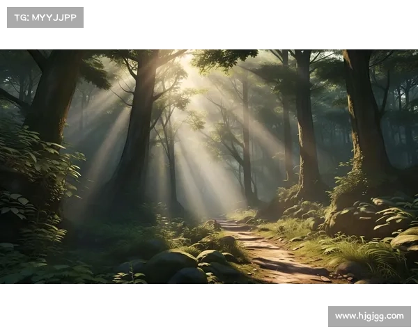 神秘神兽森林大揭秘，敢与我一同探险未知世界吗