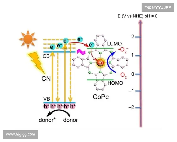 安联赞助商作用及选择标准探讨：提升品牌影响力与合作价值