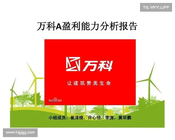 提升足球俱乐部盈利能力的财务管理策略与实践探讨